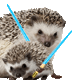 hedgehog1's Avatar