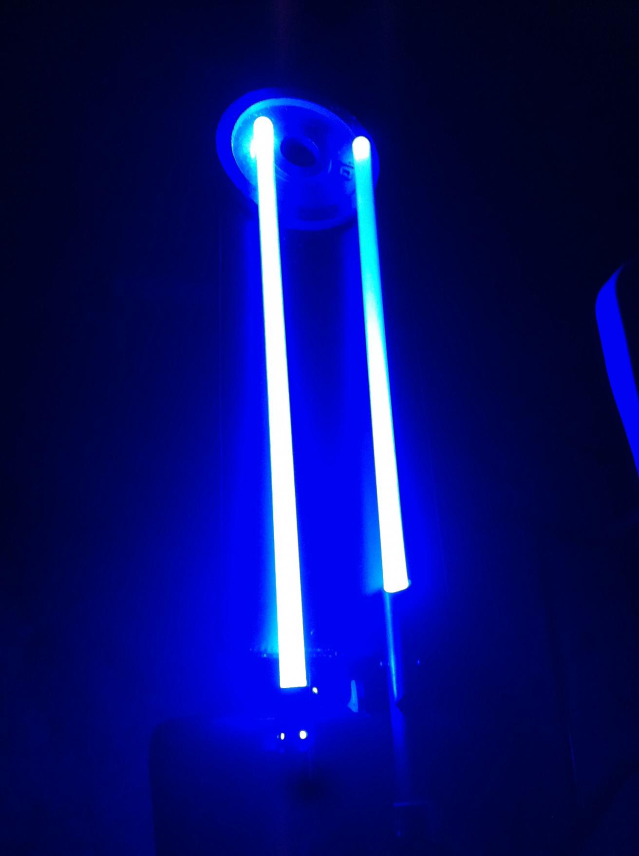 side-by-side Cree blues.jpg