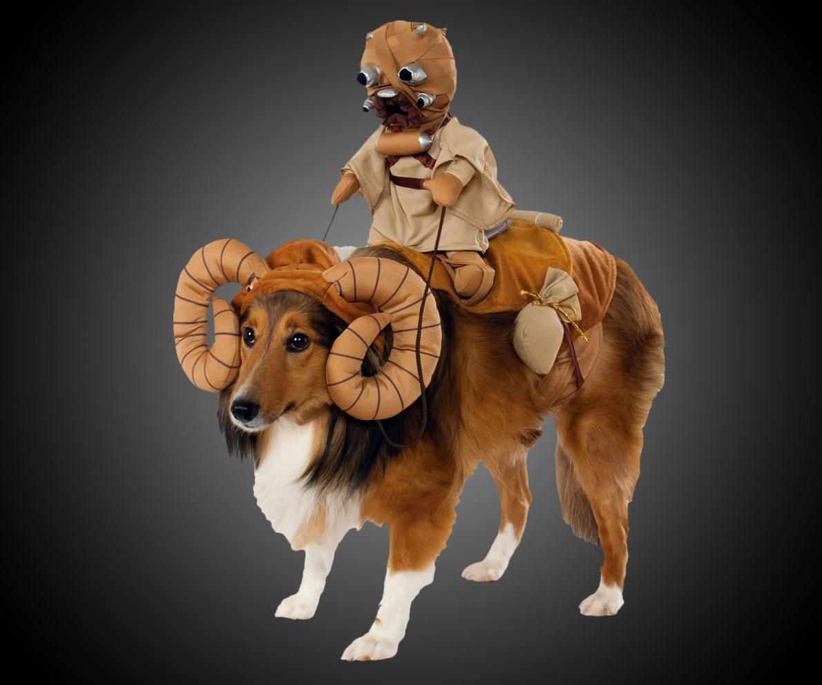 star wars dogs.jpg