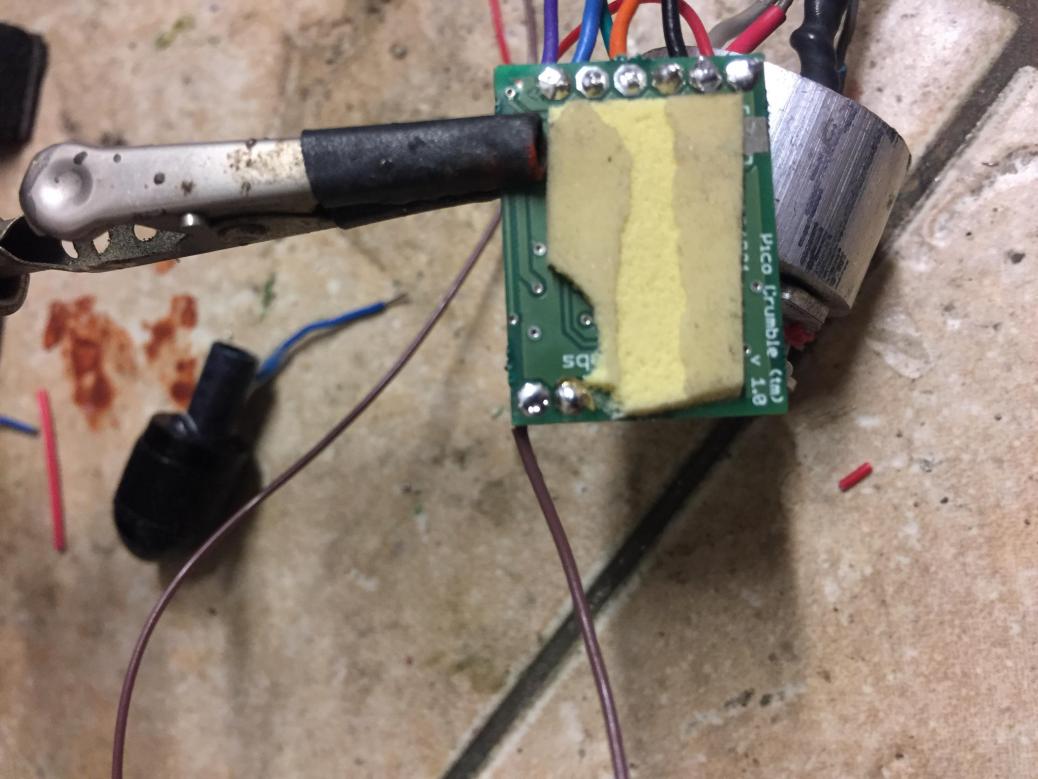 pico crumble back.jpg