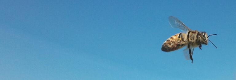 2012-06-28 12.41.12-1 (2).jpg